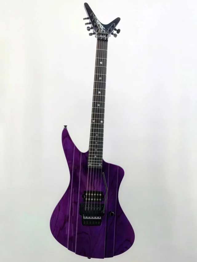 ヒ*デ様 robin ギター Vintage Catalogs - Robin Guitars